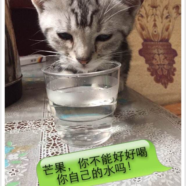 加州理工学院毕业证原版